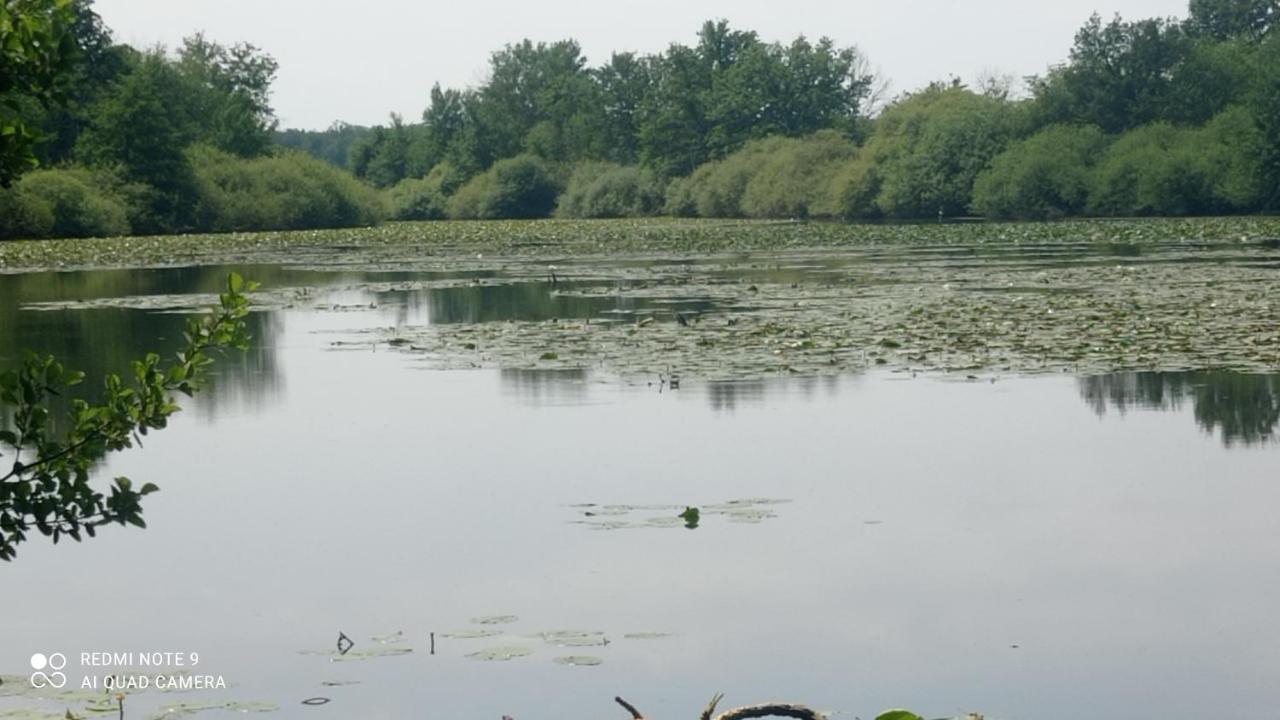 Maison De Ferme Au Calme Jusqu'A 10 Personnes Gannay-sur-Loire Extérieur photo