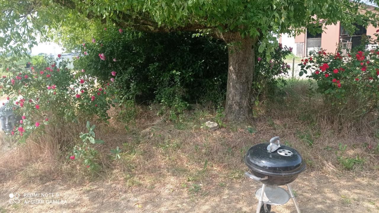 Maison De Ferme Au Calme Jusqu'A 10 Personnes Gannay-sur-Loire Extérieur photo